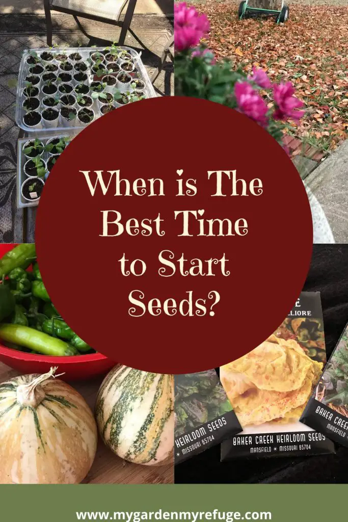 best time to start seeds