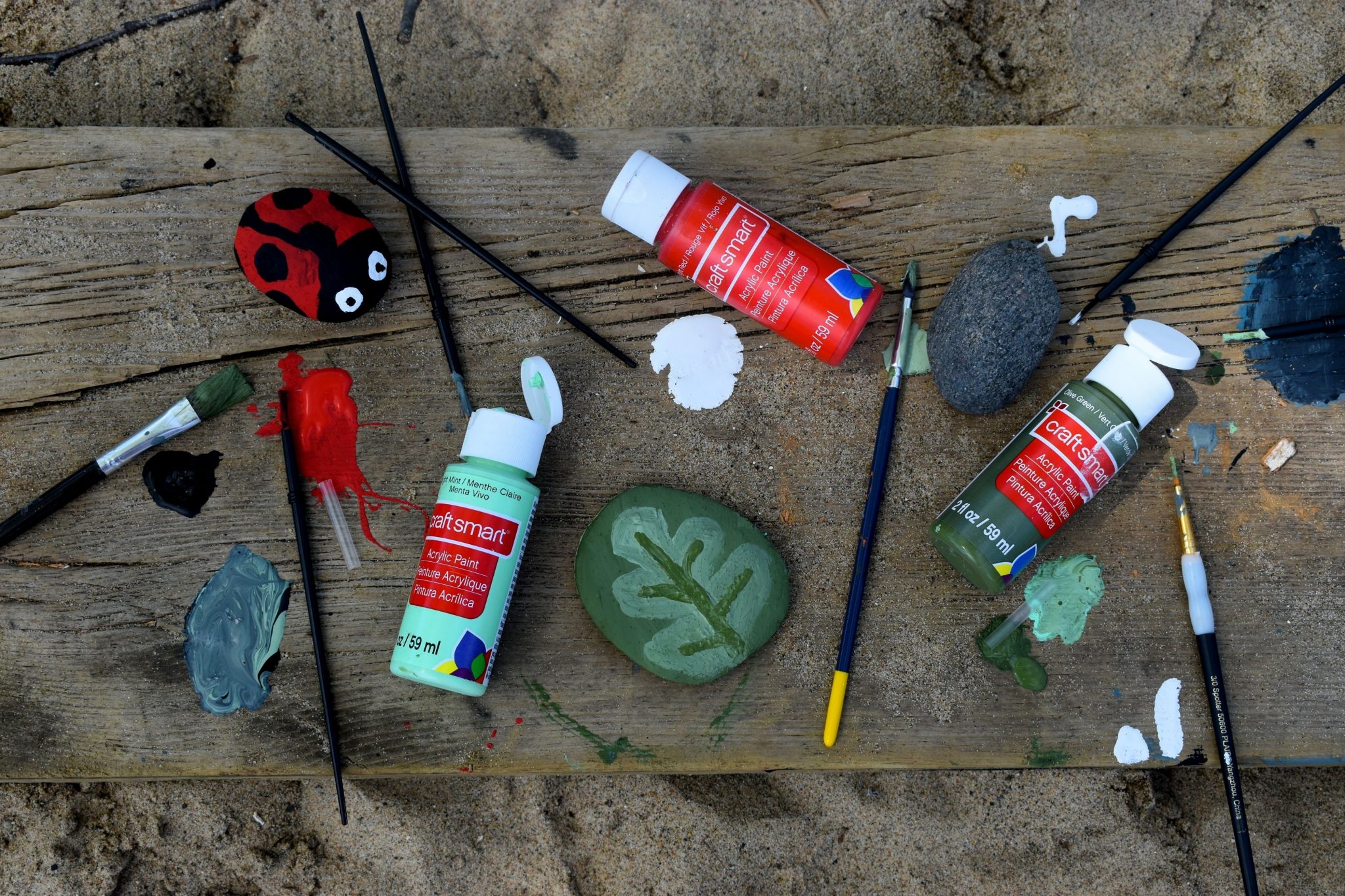 9 Ways to Protect Your Garden From Predators? - My Garden My Refuge