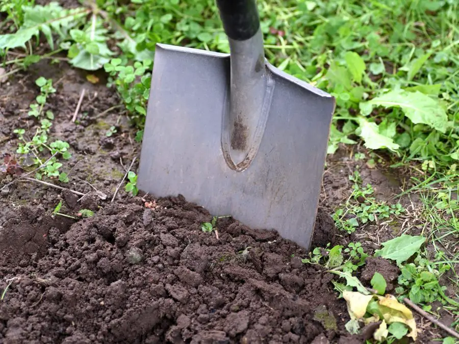 here is how to build good garden soil