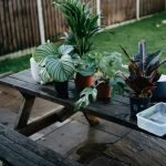 Container Gardening Made Simple