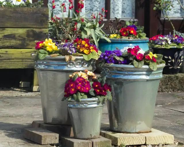 Container gardening made simple