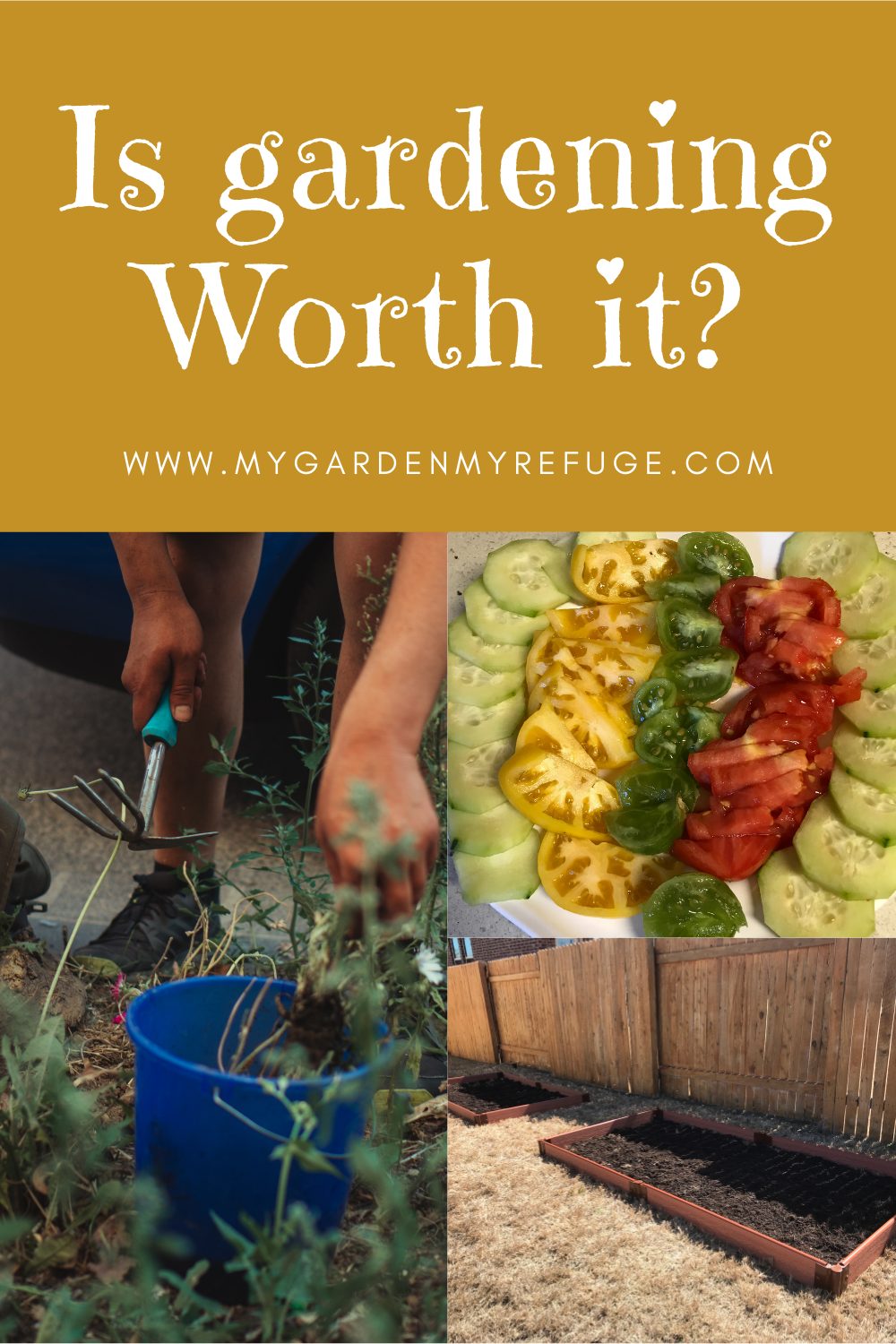 Is Starting a Garden Worth the Cost & Time? Wellness Gardens