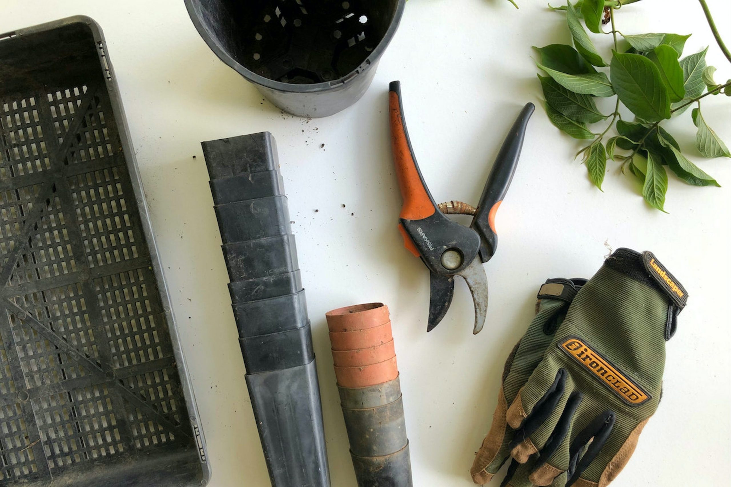 most useful gardening tools for beginners