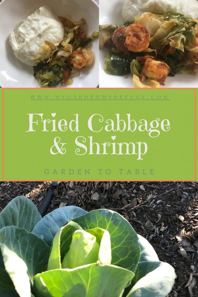 Quick caramelized shrimp & cabbage fry