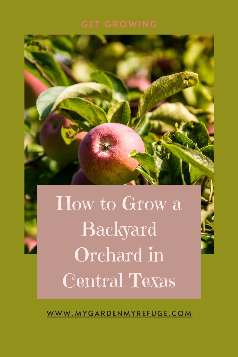 Complete Guide to Growing Fruit Trees in Central Texas Wellness Gardens