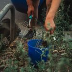 Reasons You Might Be Killing Your Garden?