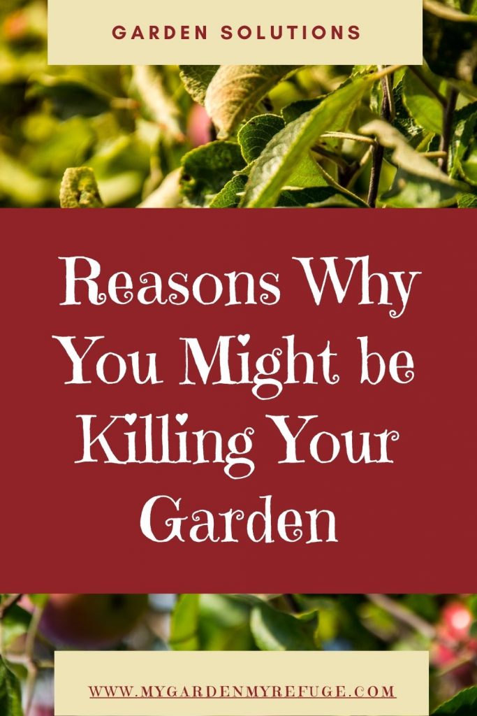 Reasons why you are killing your garden