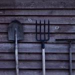 Most Useful Gardening Tools for Beginners