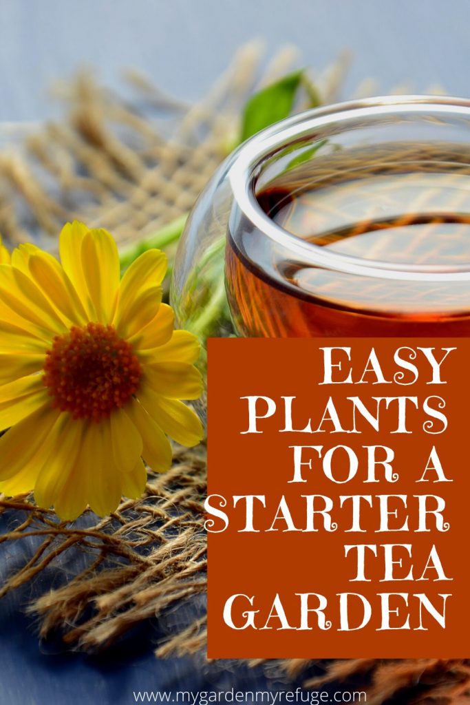 Easy plants for a starter tea garden 