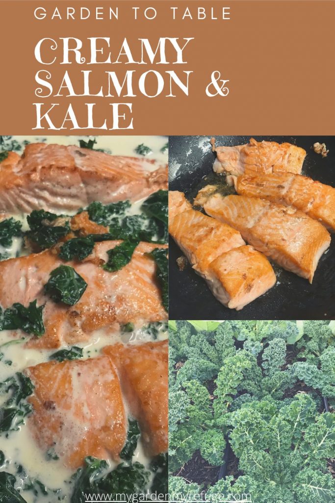 creamy garlic kale and salmon