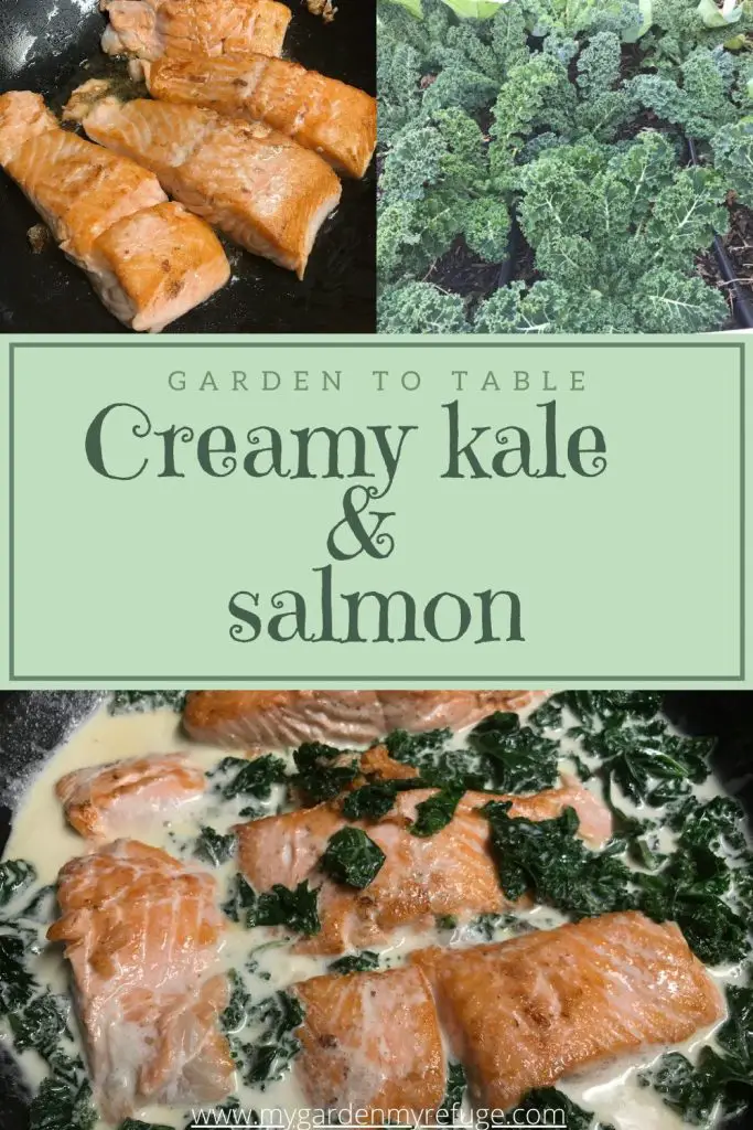 creamy garlic kale and salmon