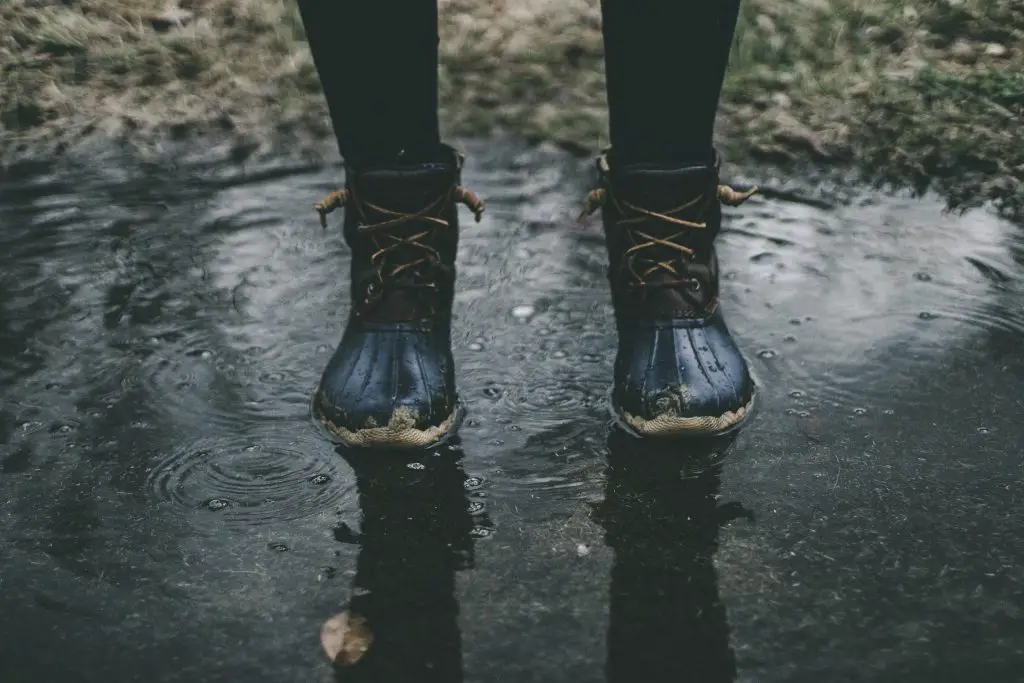 puddles in the garden