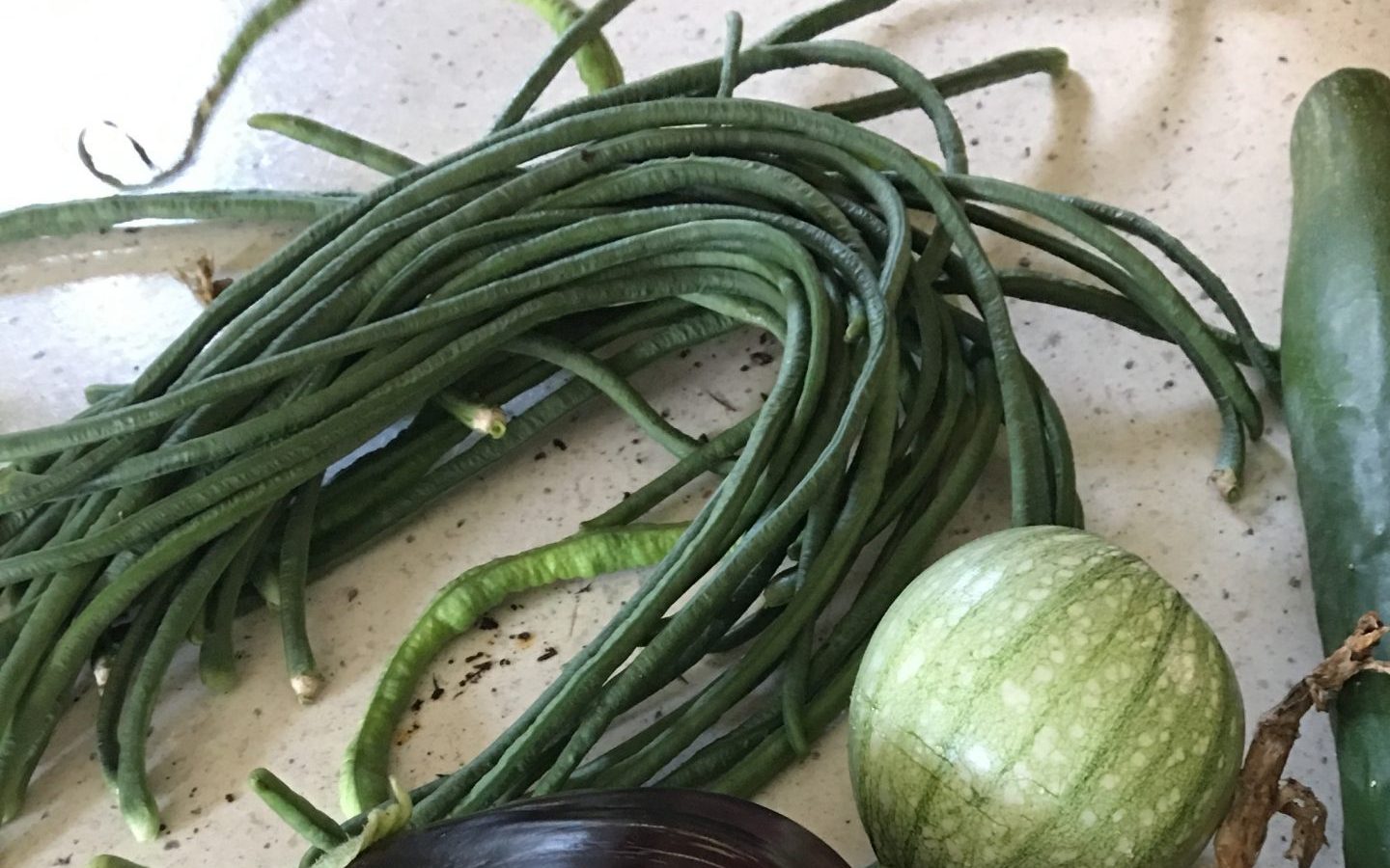 growing green beans