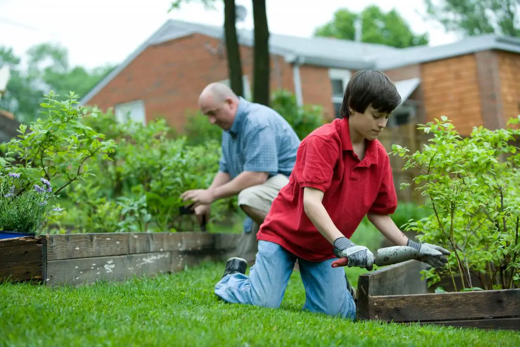 9 reasons why raised beds are great for vegetable gardens