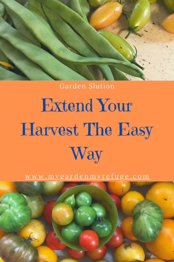 How to extend your harvest in the warm season?