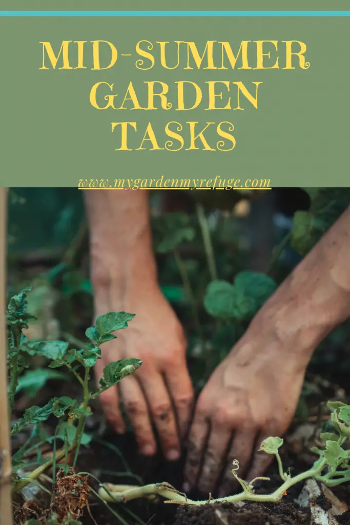 Mid-summer garden chores for Texas gardens.