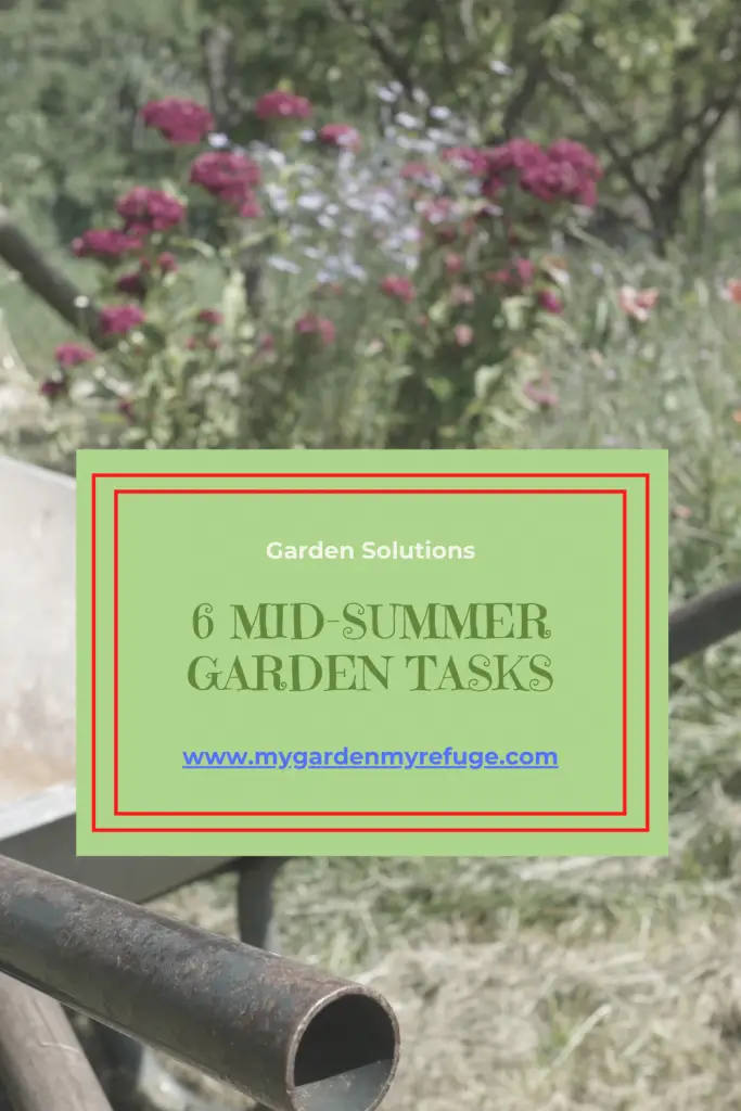 Mid-summer garden chores for Texas gardens.