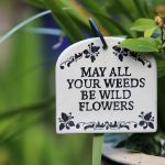 Top Gardening Resolutions To Make Now