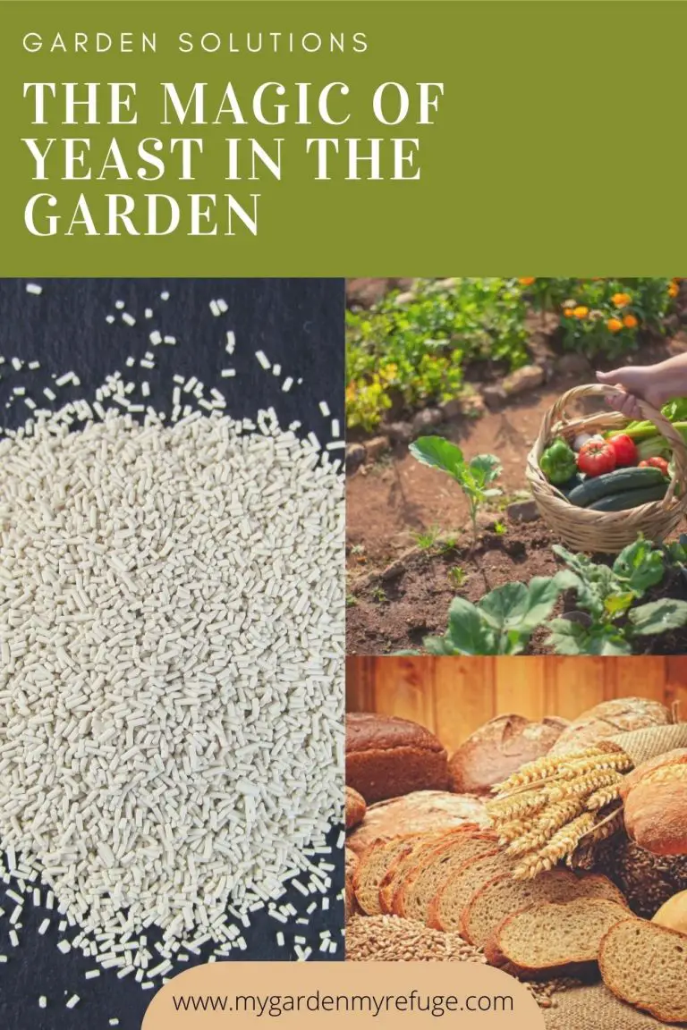 Yeast The New Garden Helper Wellness Gardens