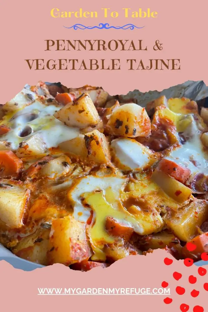 unique pennyroyal & root vegetables tajine