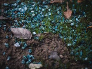 Fertilizers
