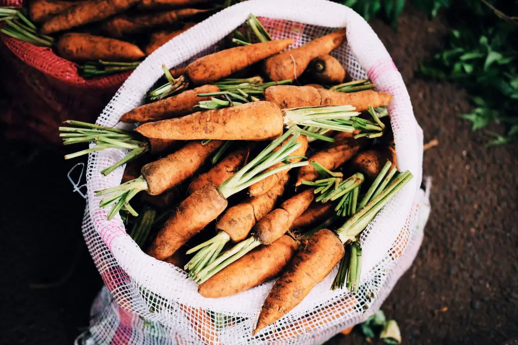 Soil health impact on food nutrients