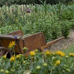 Wartime Gardeners