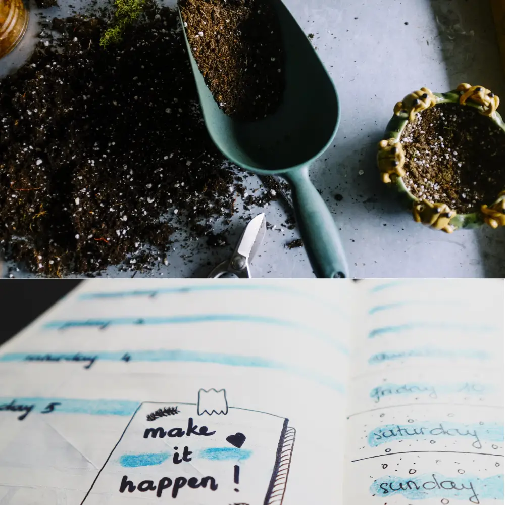 Cultivate: Foundation & Flow